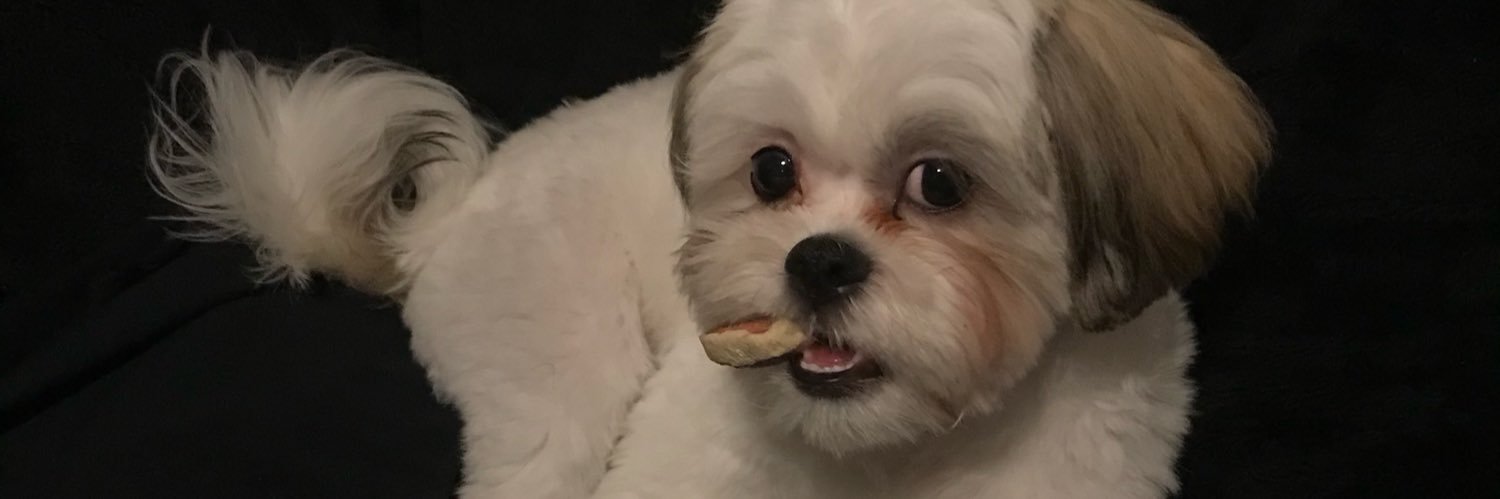 acabbbs's profile banner image