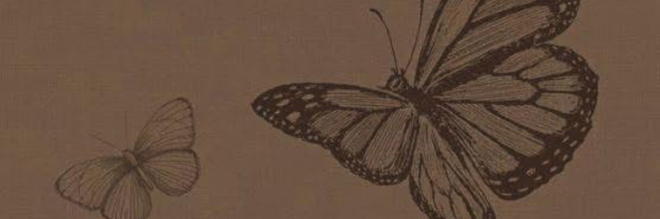 SignOfCreatures's profile banner image