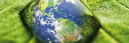 Christophe Leroy banner