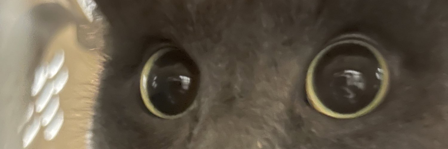 markstongee's profile banner image