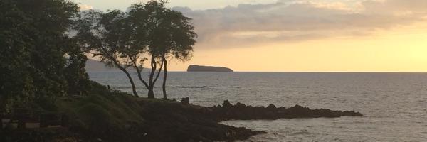 elbates_tx Profile Banner