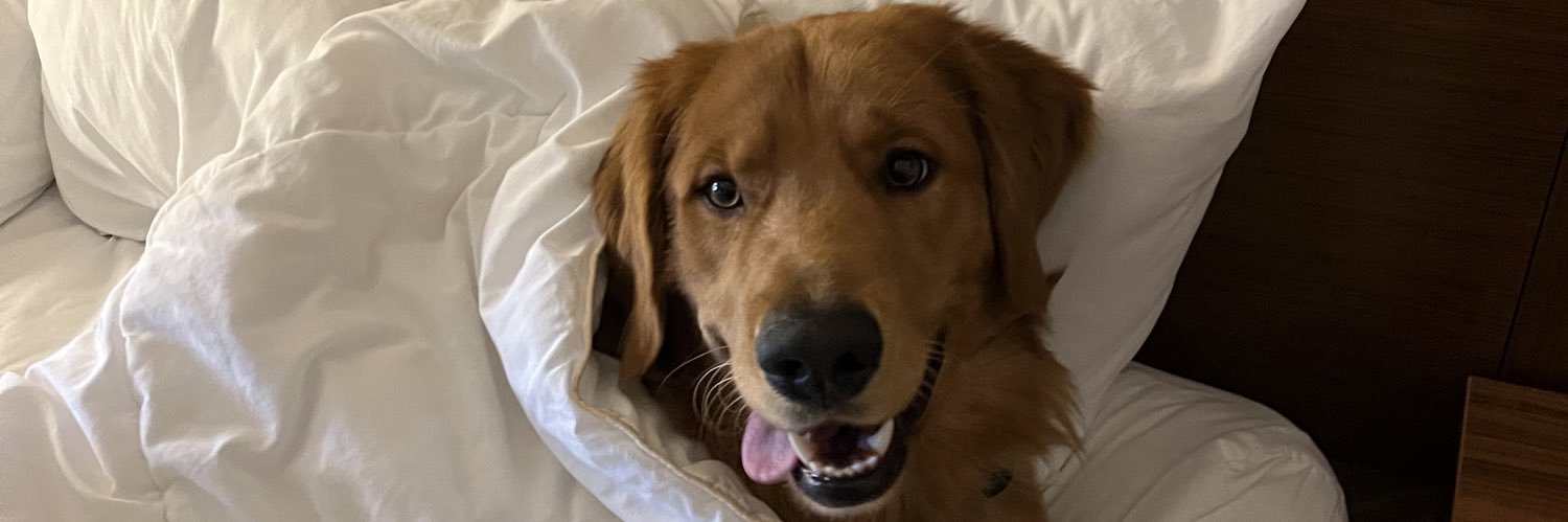 Owen banner