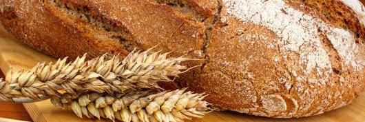 rootin4gluten's profile banner image