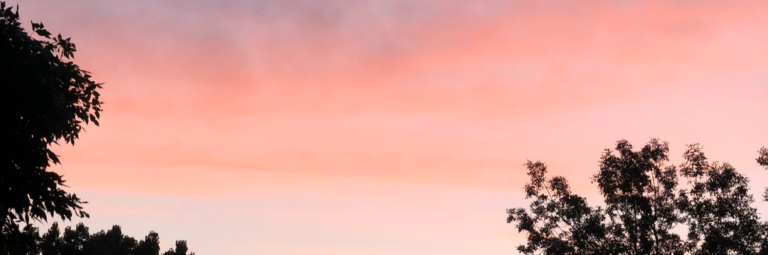 JimAlvarez11's profile banner image
