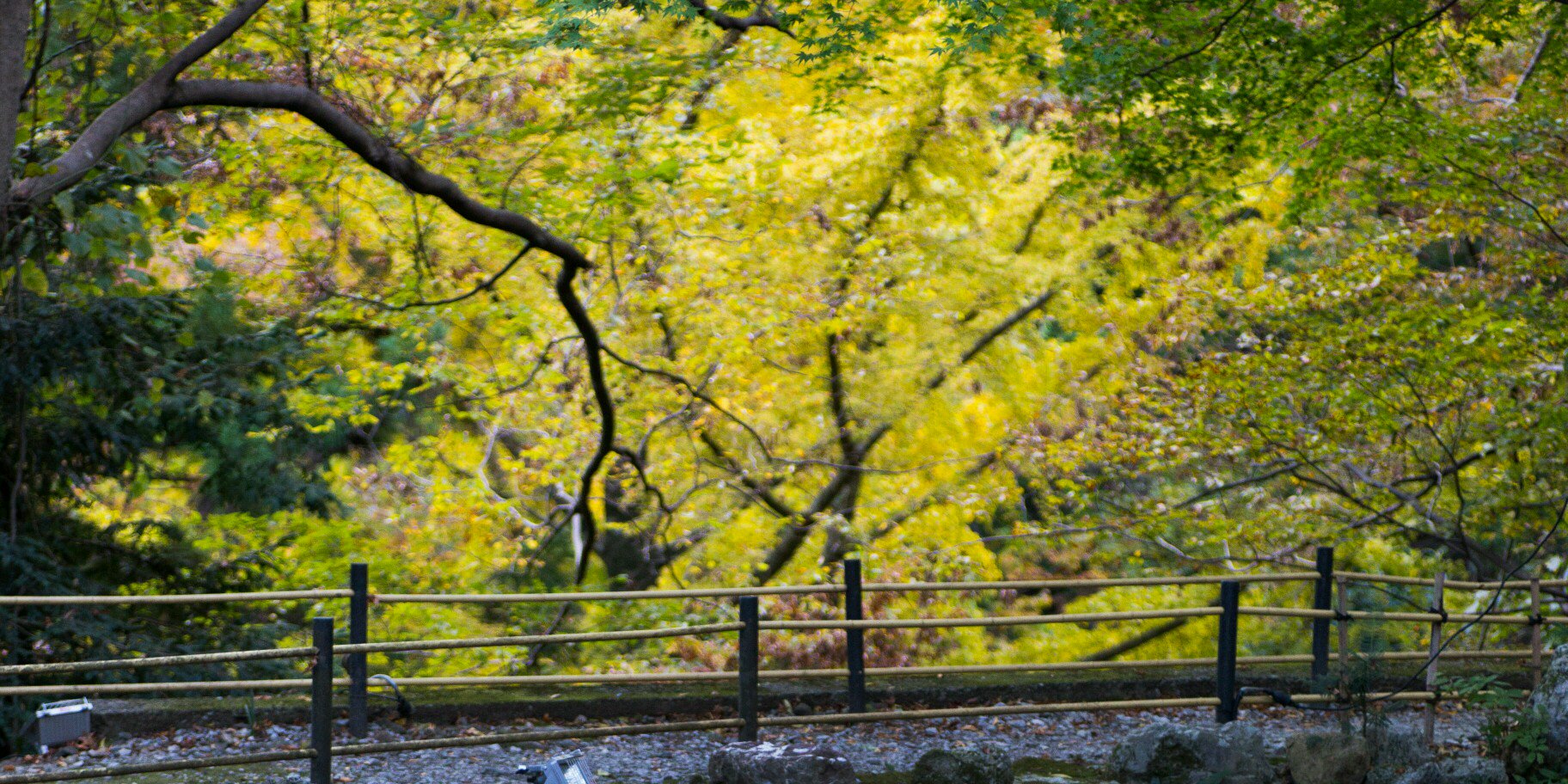 naata_3_9's profile banner image