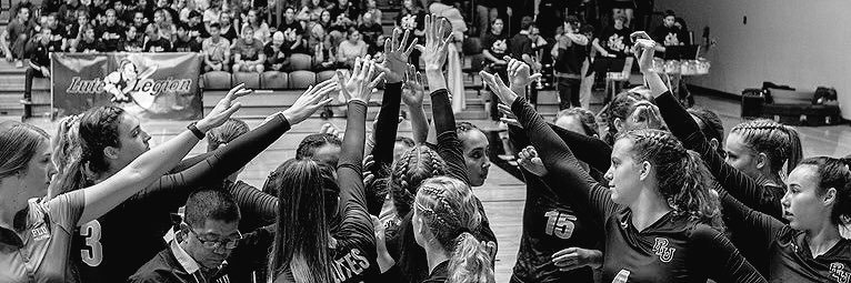 PLU Volleyball banner