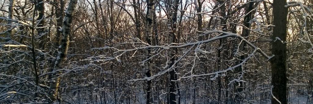 BrookeHareid's profile banner image