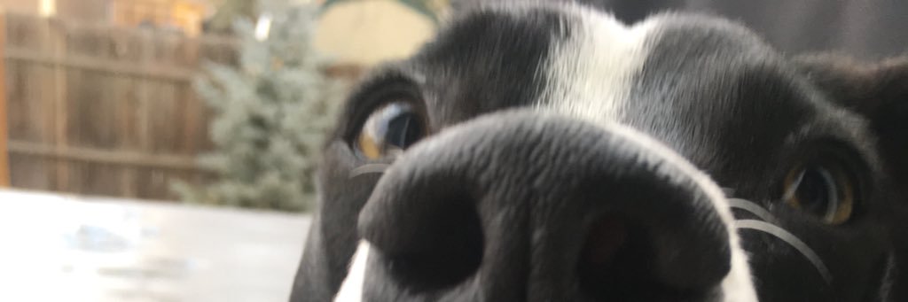 meganshae16's profile banner image