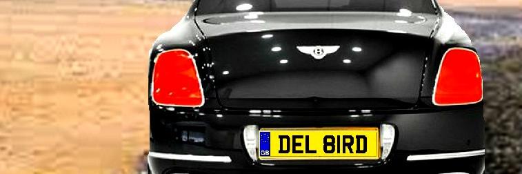 01DelBird's profile banner image