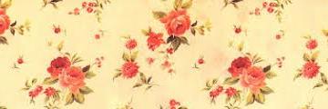 Fatima37241919's profile banner image