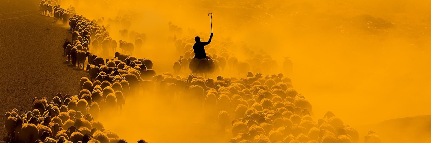 sametorakci's profile banner image
