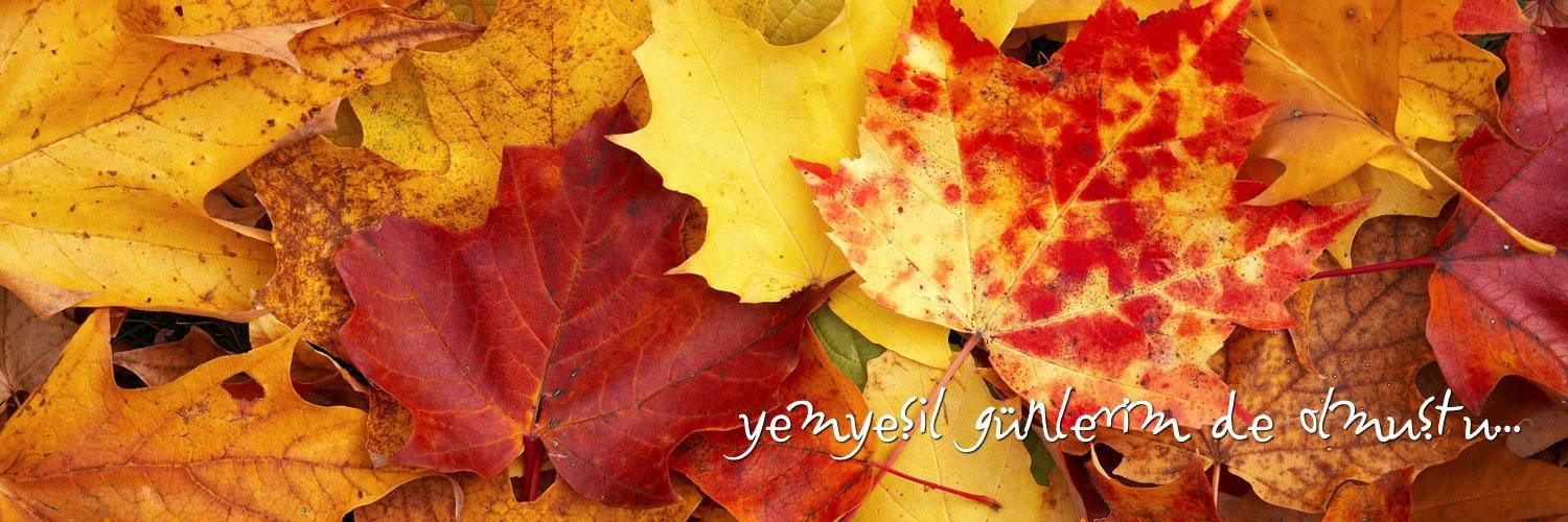 T_eraslan's profile banner image
