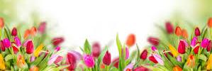 helencorcoran01's profile banner image