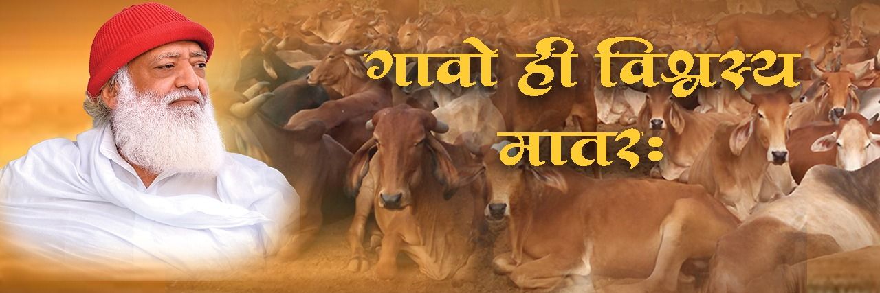 Sant Shri Asharamji Bapu Gaushala banner