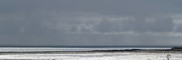 michelguillou Profile Banner