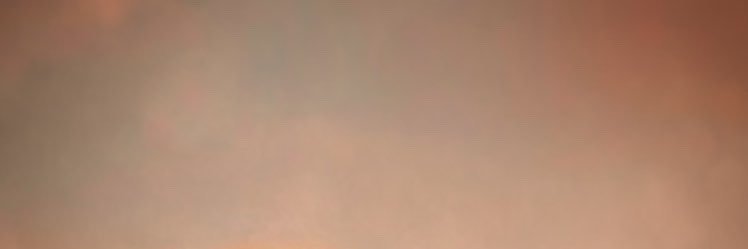 xx0fer's profile banner image
