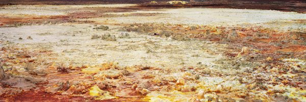 Ncontemporary Profile Banner