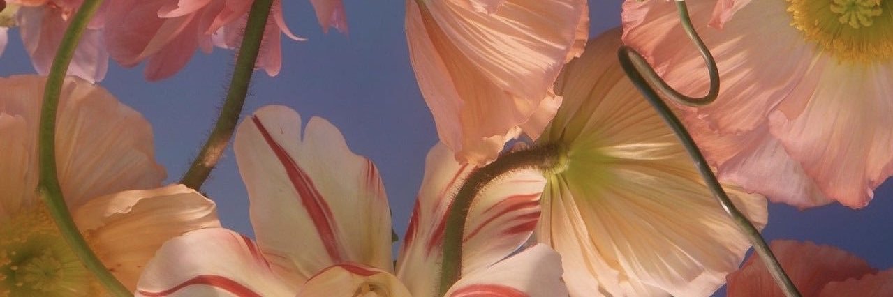 im_jennaa's profile banner image