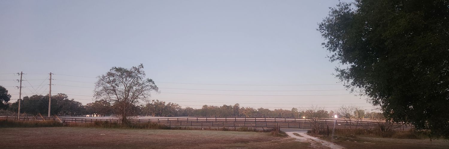 Ncpinetree's profile banner image