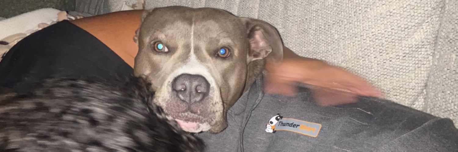sikchasee's profile banner image