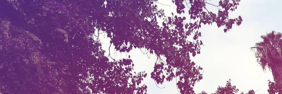 Samraa_Abusalem's profile banner image