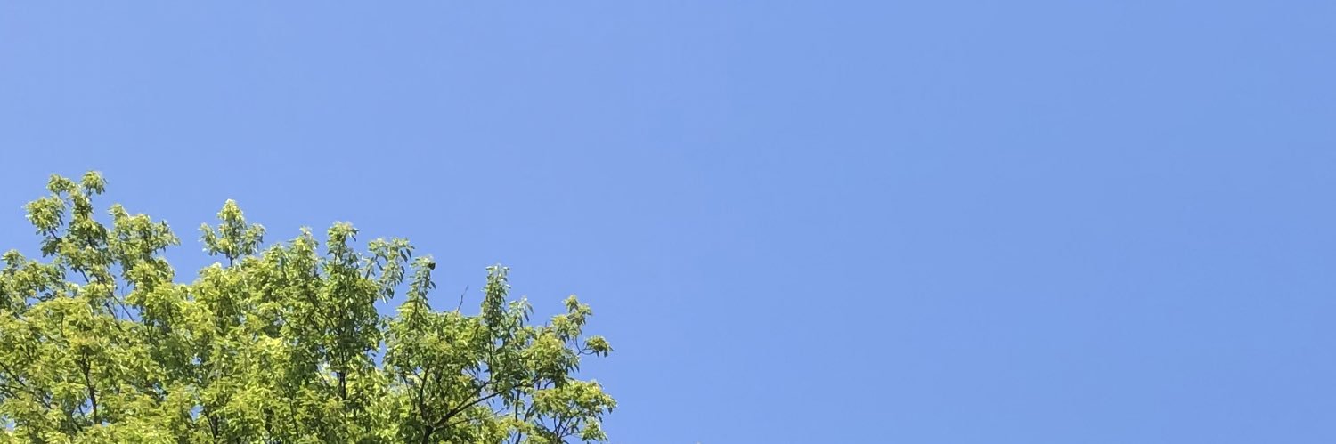 snnokabegami's profile banner image
