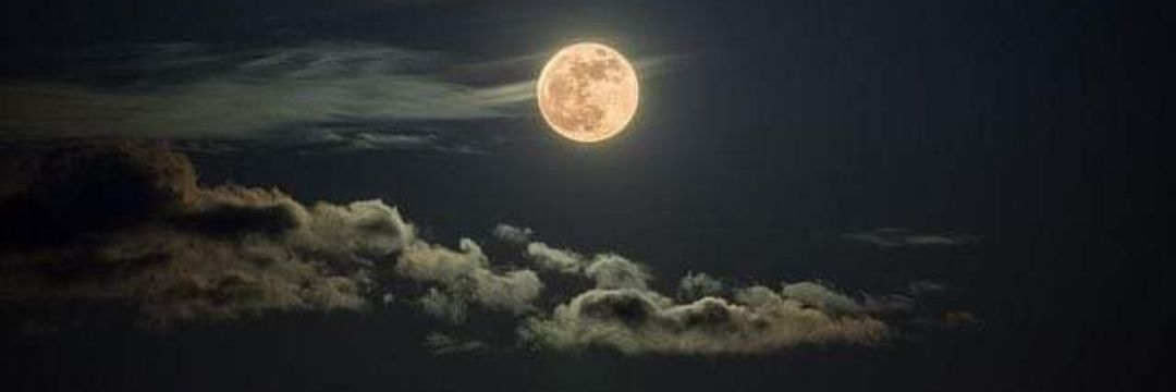 omar_ayman50's profile banner image