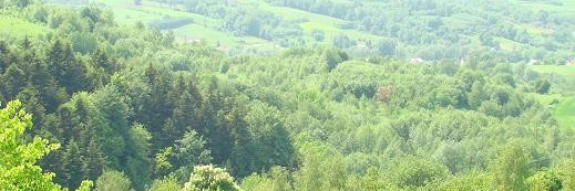 moncia7770's profile banner image