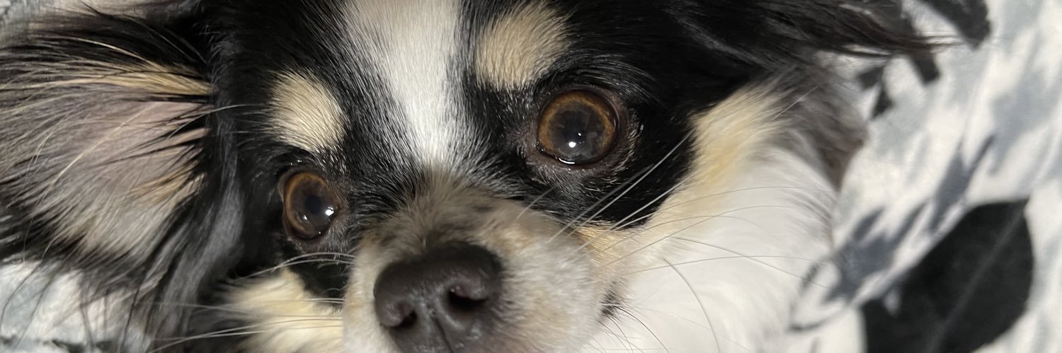 Eleanor♡● banner