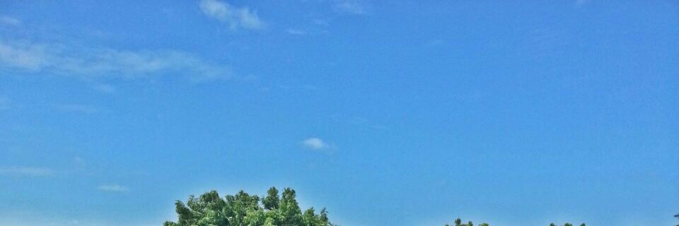 Engmwema1's profile banner image