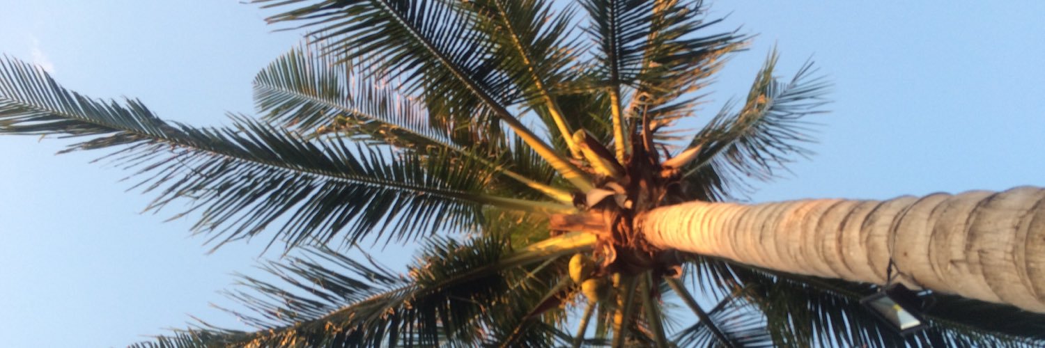 CamillaGrip's profile banner image