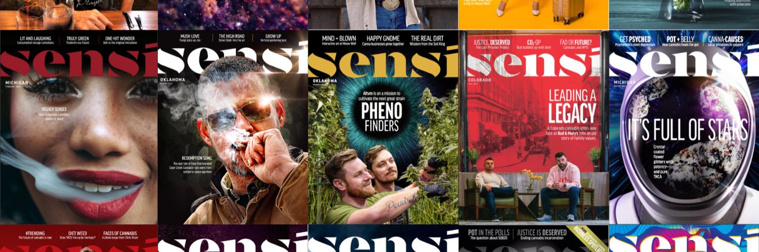 Sensi Magazine banner