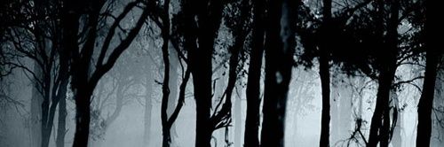 IEinsenheim's profile banner image
