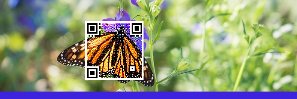 QR_photo's profile banner image