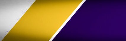 Paul Quinn College Men's Basketball banner