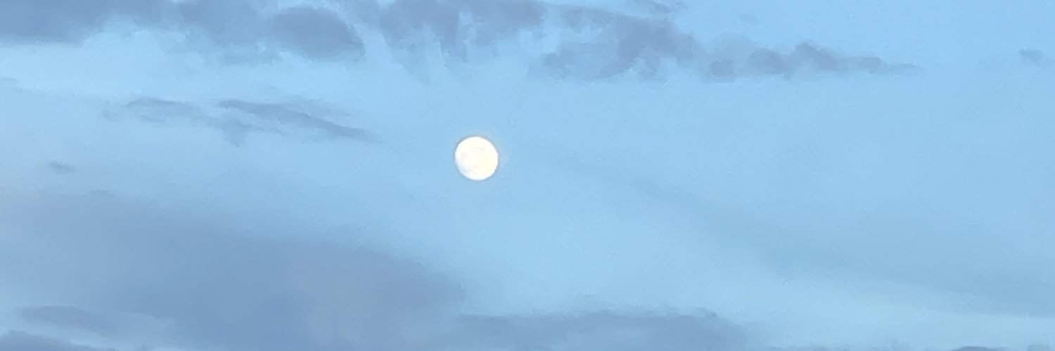 Sta®a banner