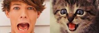 directionerjmrc's profile banner image