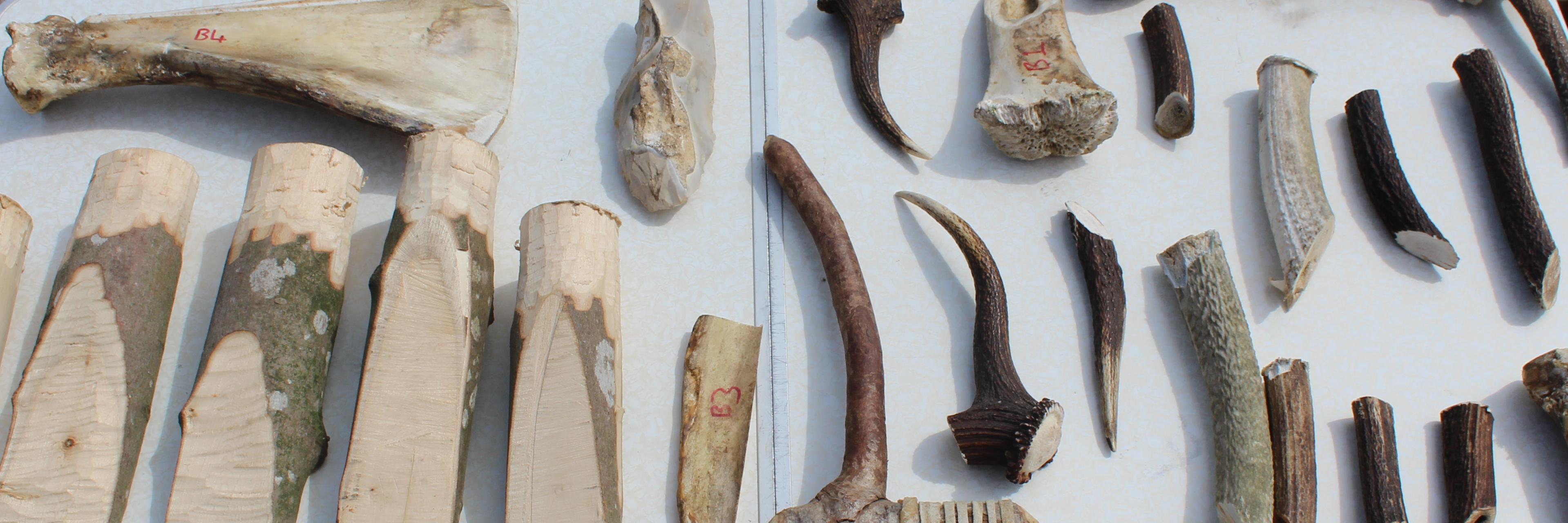 Mesolithic_Wood's profile banner image