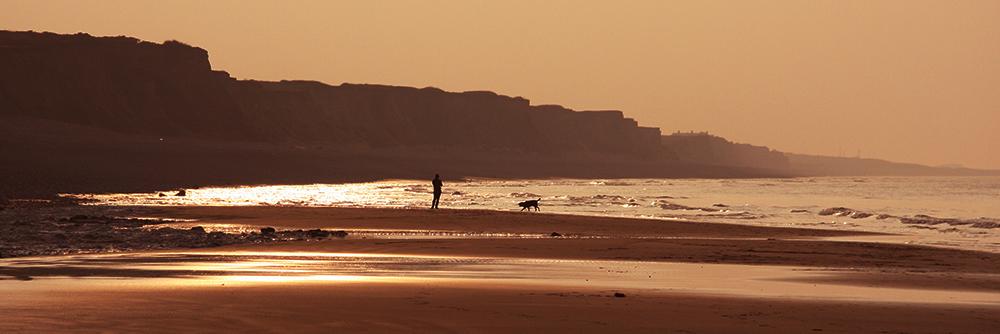 GleadellSea's profile banner image