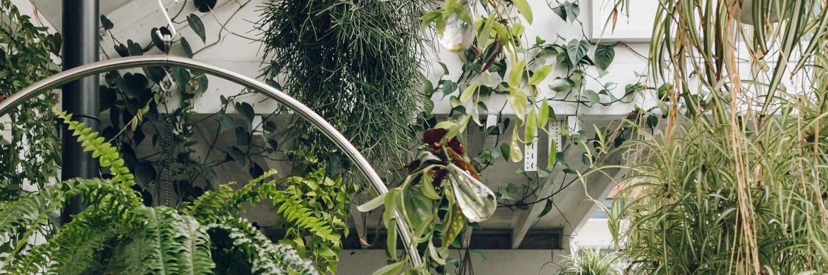 esquirecreative's profile banner image