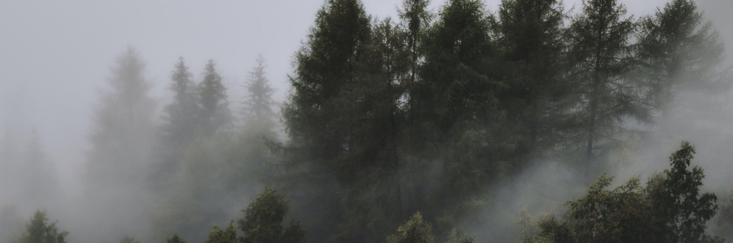 jestebanfdz10's profile banner image