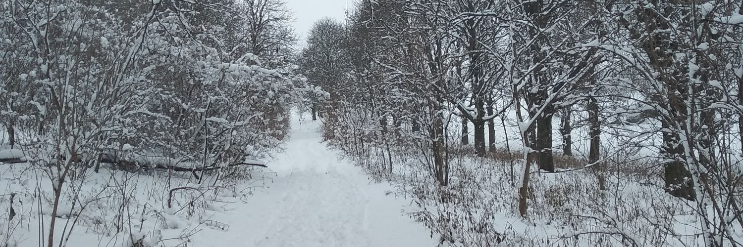 JosefKhait's profile banner image