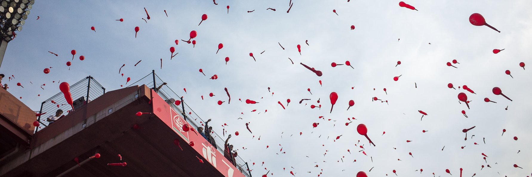 British Carp Fan banner