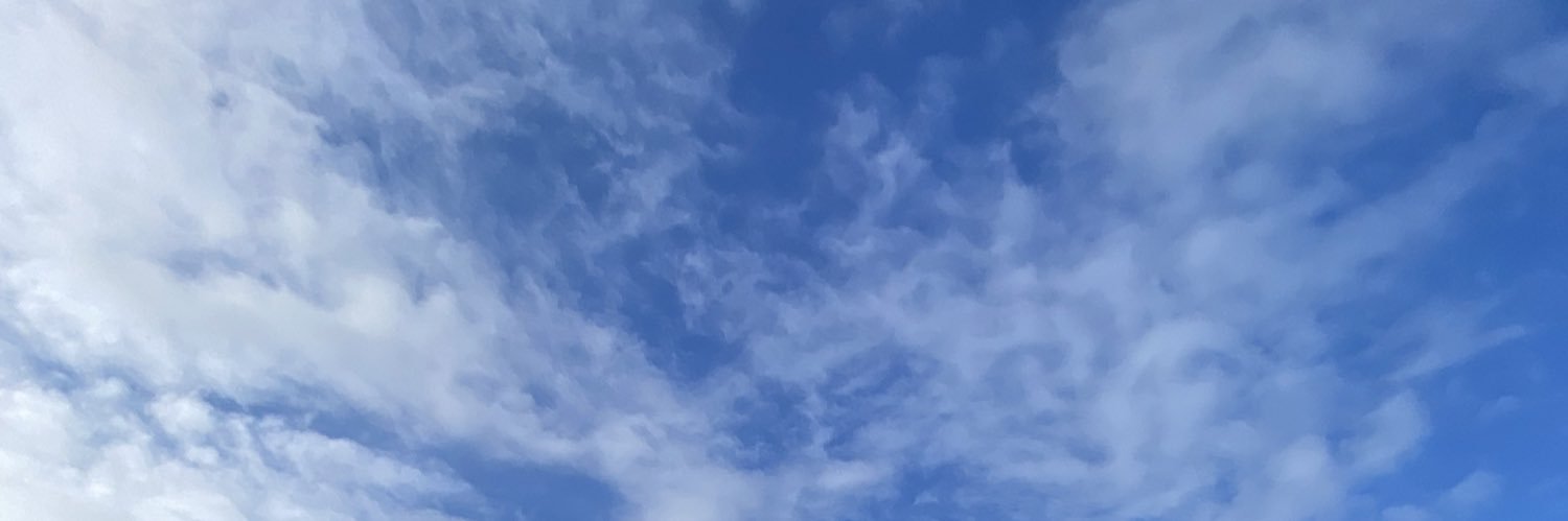lomsvf's profile banner image