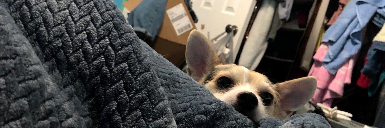 ducvinhpham's profile banner image