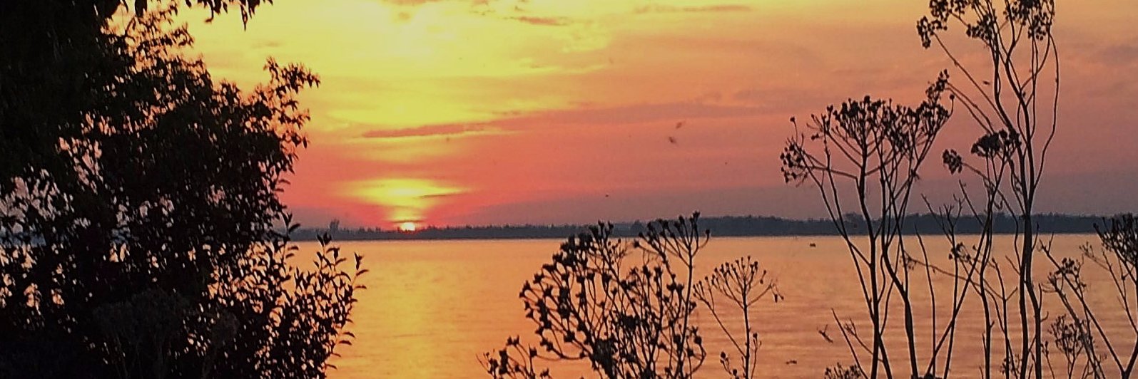 Celia_Reaves's profile banner image