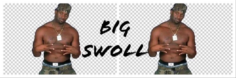 realswoll's profile banner image