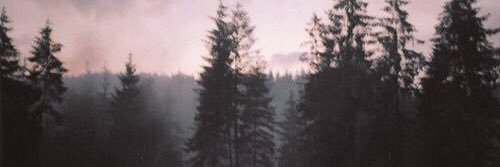 zoellacuddle's profile banner image
