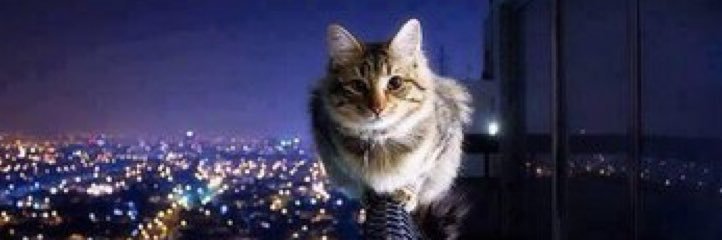 mrt_k75's profile banner image