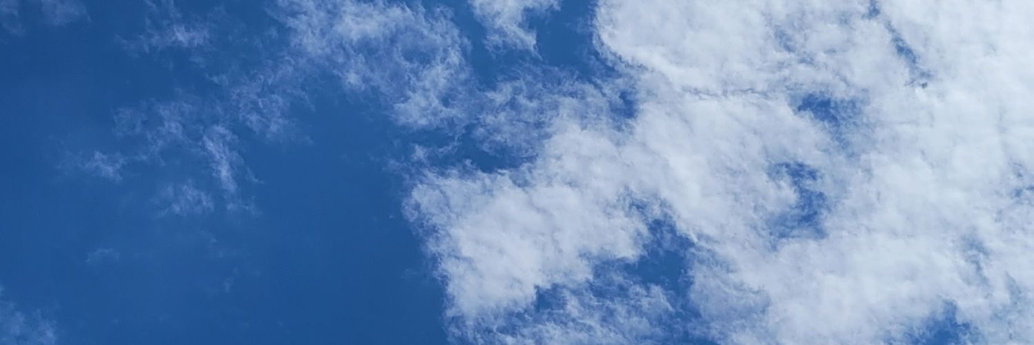 LouFantasio's profile banner image